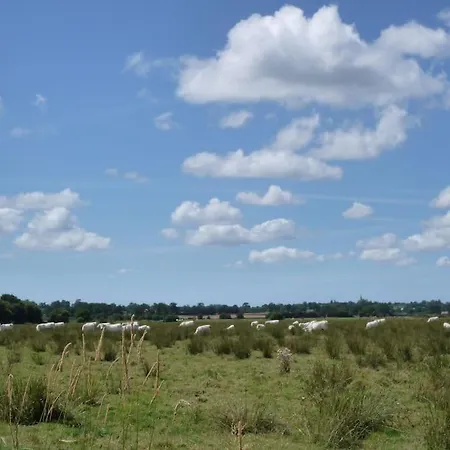 Ecolo, Piscine Chauffee Toute L'annee *
